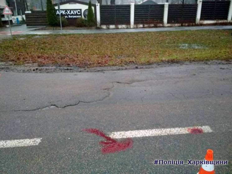 На дорогах Харькова погибли двое пешеход…