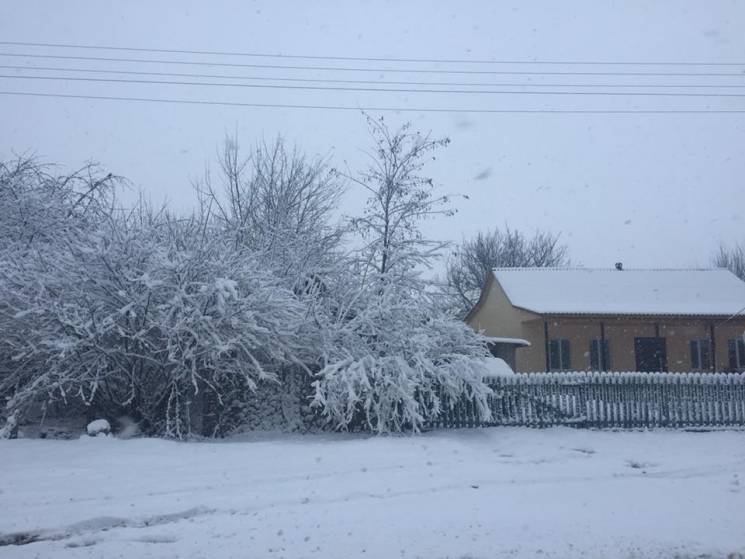 Північні райони Одещини засипало снігом…