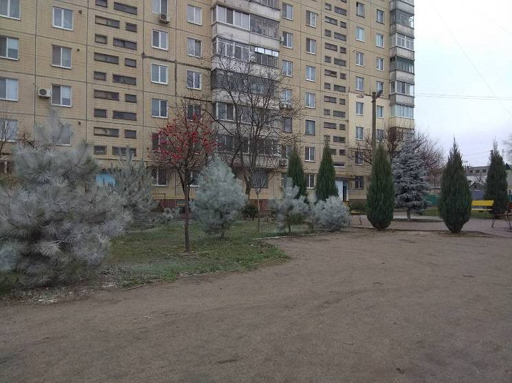 В Новомосковске жители многоэтажек белят…
