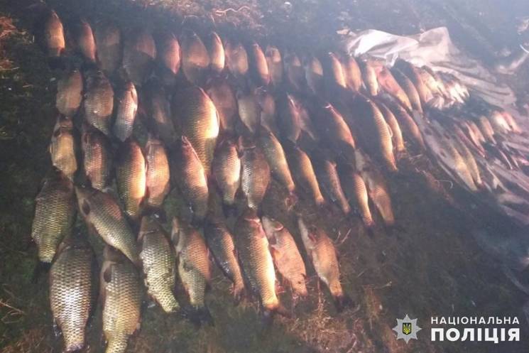 На Дністровському водосховищі піймали бр…