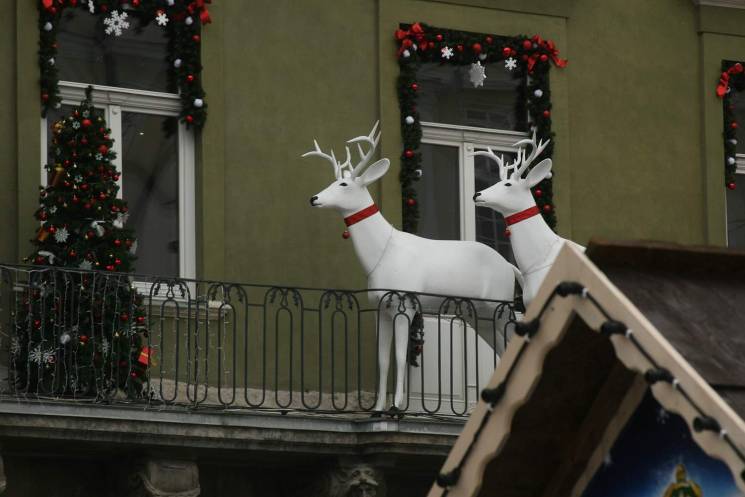 Як у Львові наближають Різдво (ФОТОРЕПОР…
