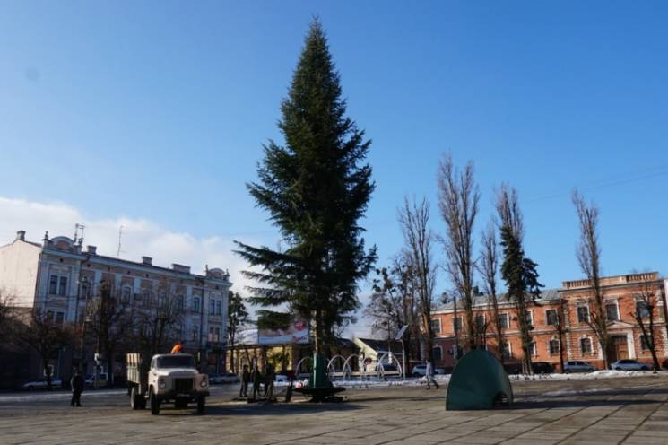 В Черновцах установили 20 метровую елку…