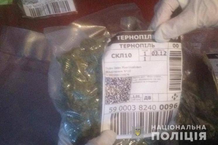 Тернопольские студенты организовали нарк…