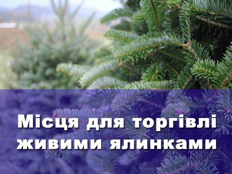 Где в Мукачеве будут торговать елками…