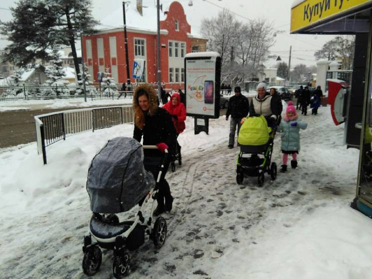 Як у Львові сніг стає на заваді транспор…