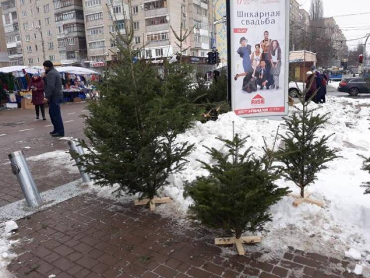 Ялинкові базари у Вінниці приємно здивув…