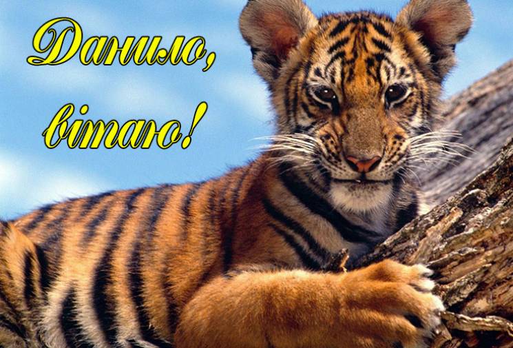 Іменини Данили: Привітання, смс і листівки, 30 грудня, яке сьогодні свято
