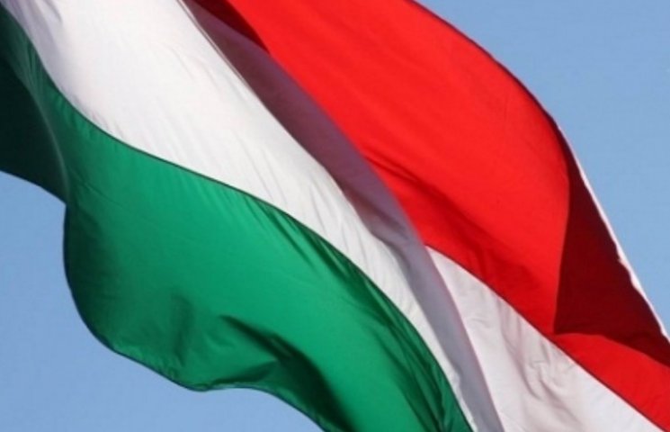 В Венгрии собрали 370 тыс евро для закар…