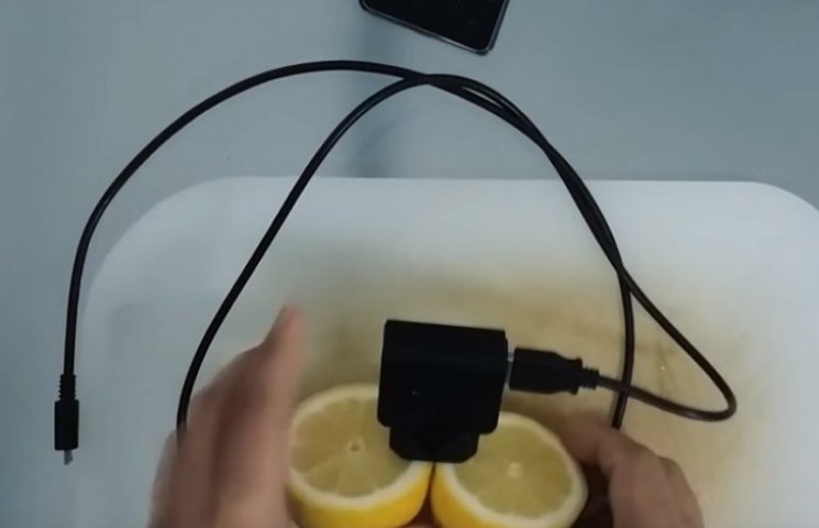 Лимон можно использовать как электростан…