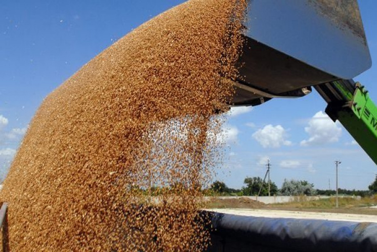 Экспорт зерна готовится побить новый рек…