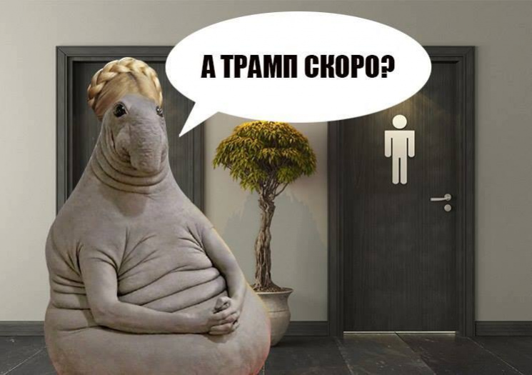 Почему Тимошенко молчит о Великом Туалет…