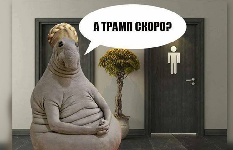 Переговори Трампа і Тимошенко біля туале…