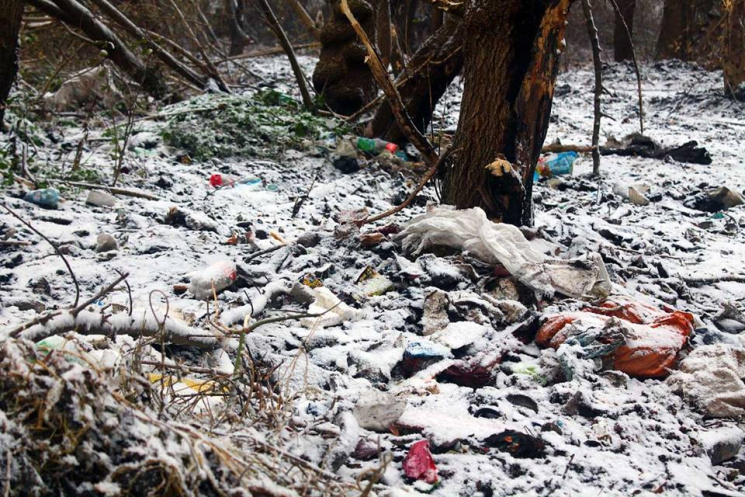 Шість районів Харківщини закидали сміття…