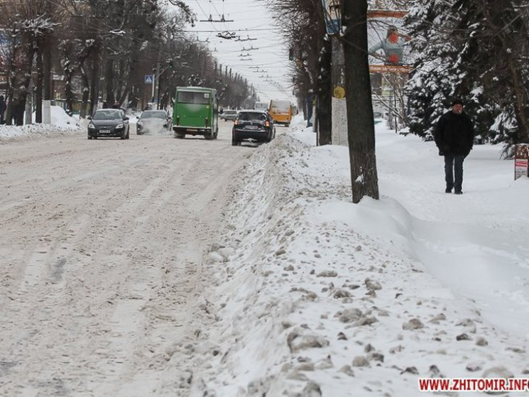 Житомирські таксисти беруть "сніжну" над…
