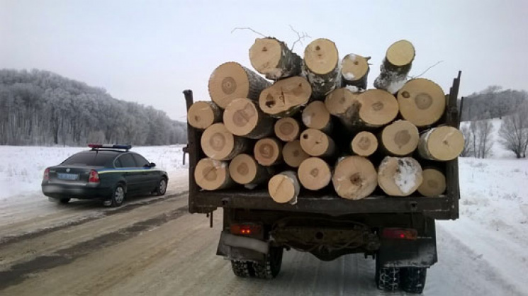 На Сумщине "арестовали" нелегальные дров…