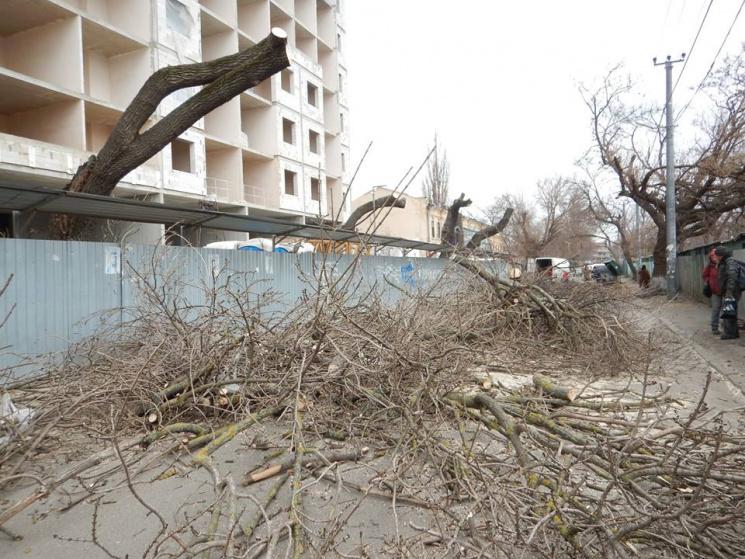 В Одессе вырубают деревья под видом "омо…
