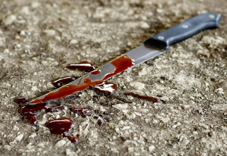 На Сумщині жінка порізала ножем свого аг…