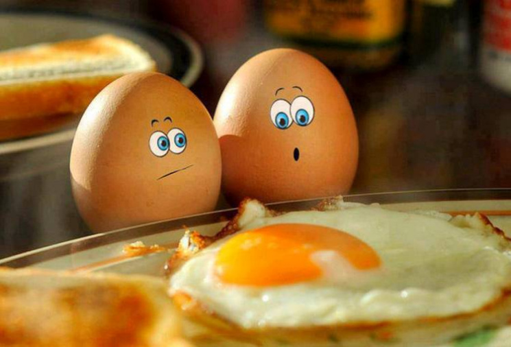 Як весело приготувати ранкову яєчню: Кум…