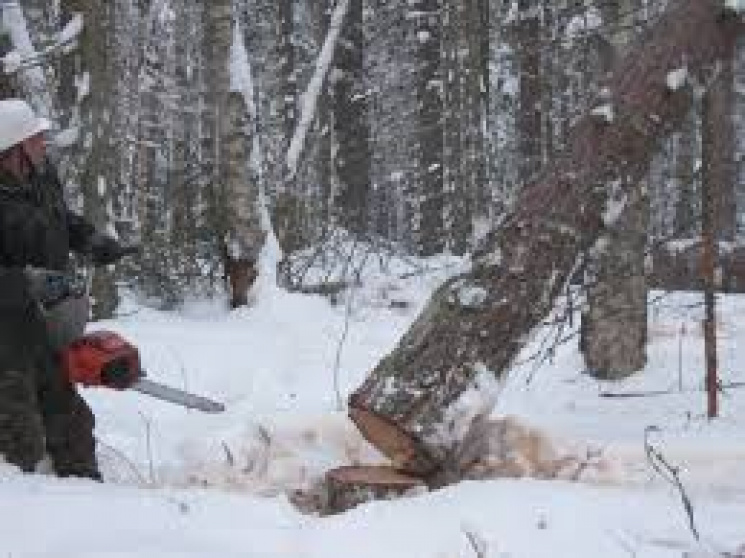 На Харківщині спіймали лісового браконьє…