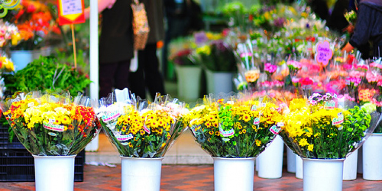 Торговці квіткового ринку на 3 Слобідськ…
