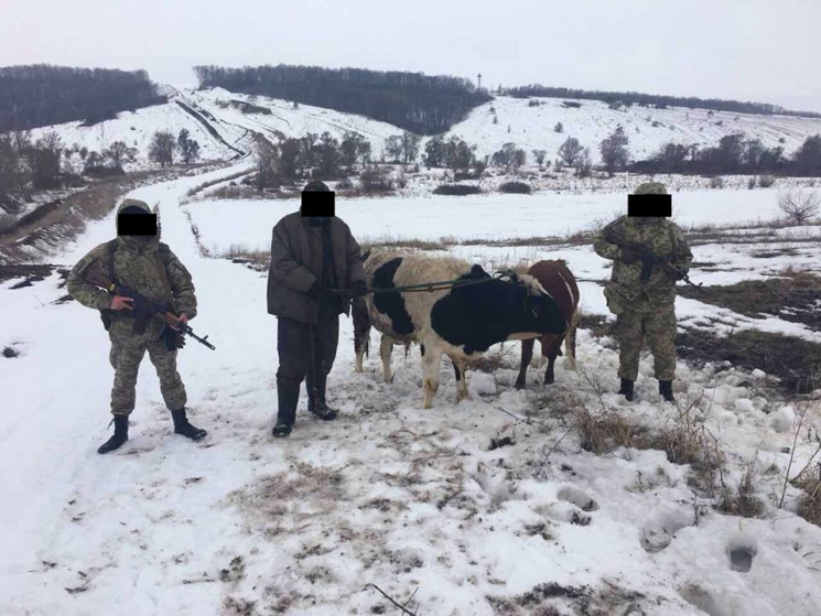 Харьковские пограничники спасли животных…