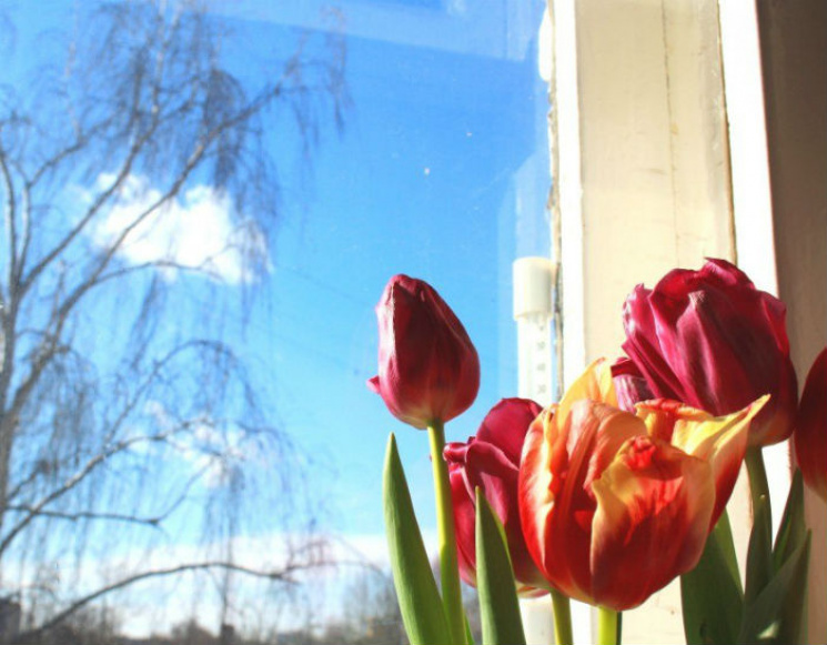 Весна в Киеве: Завтра уже 13-градусная "…