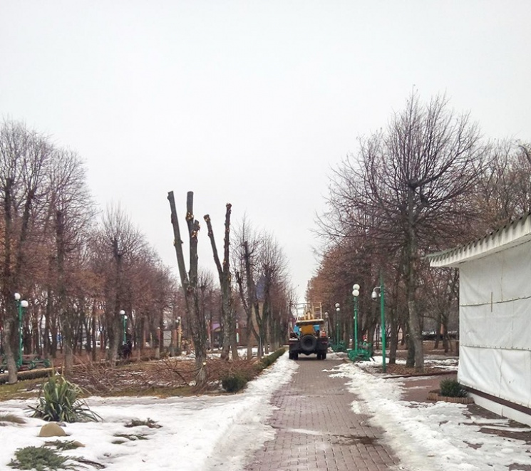 Орендарі парку у Кропивницькому можуть п…