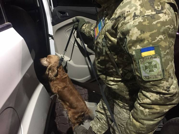Службовий пес допоміг одеським прикордон…