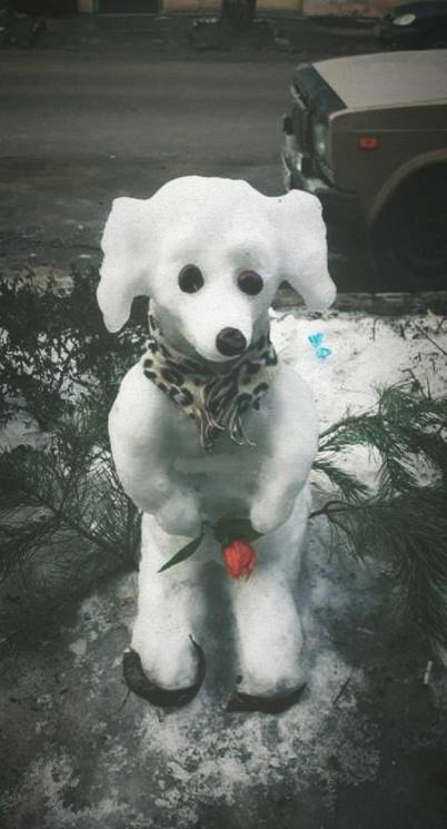 В Днипре заметили снежного пса с розой (…