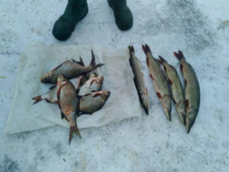 На Харьковщине рыбоохранный патруль пого…