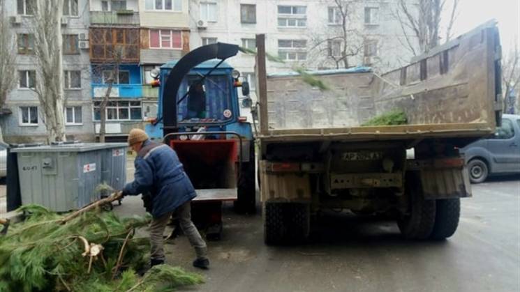 У Запоріжжі почали прибирати ялинкові зв…