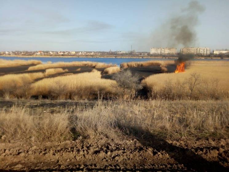 Під Миколаєвом сталася масштабна пожежа:…