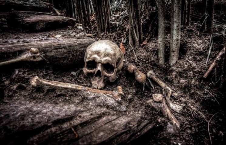 В Усть-Лабінську знайшли людський скелет…