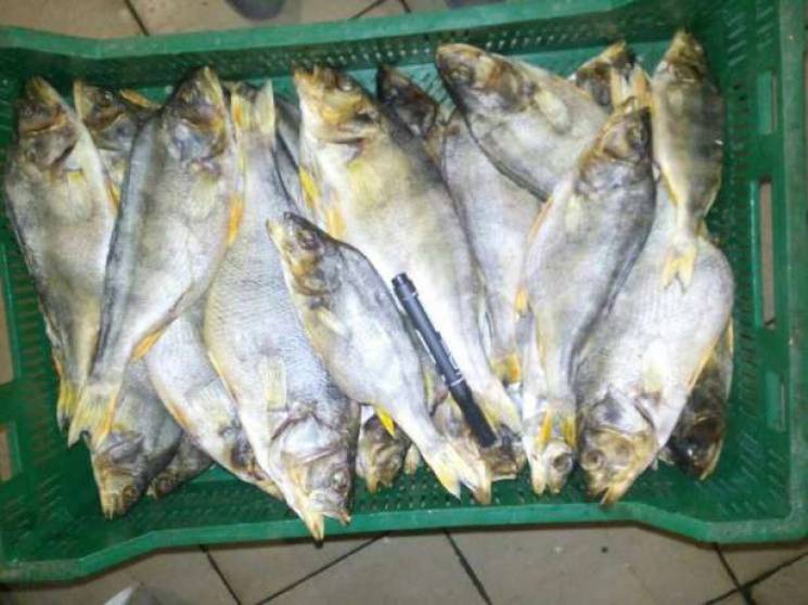 Небезпечне рибопереробне підприємство з…