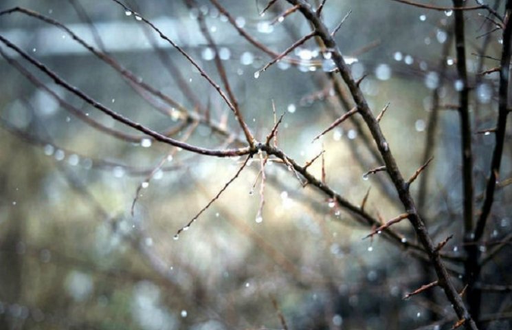 Нічний сильний дощ зі снігом до ранку ма…