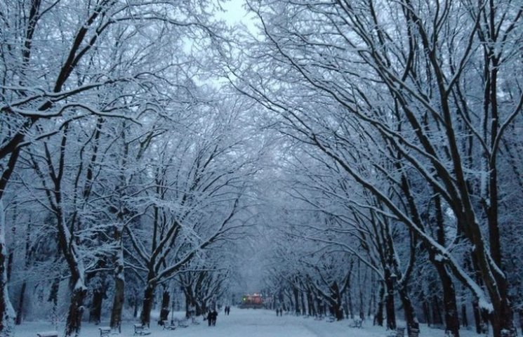 Львів’янину вдалося сфотографувати Сніго…
