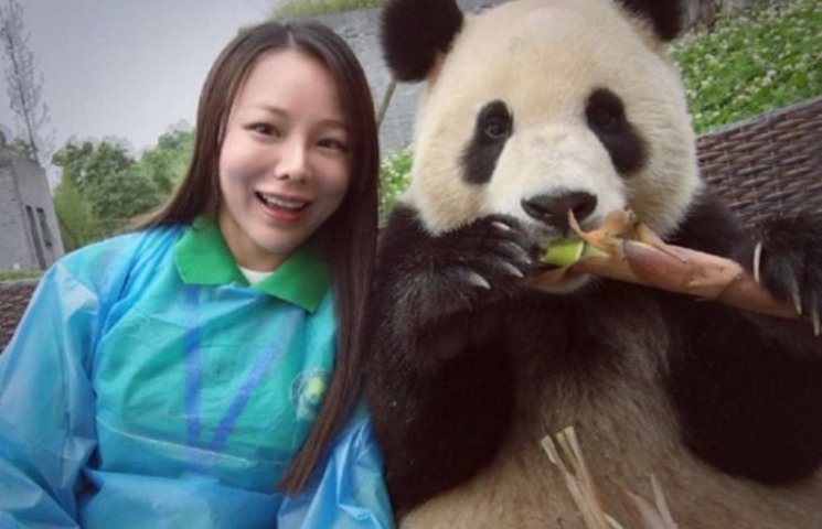 Как панда делает самые милые в мире селф…