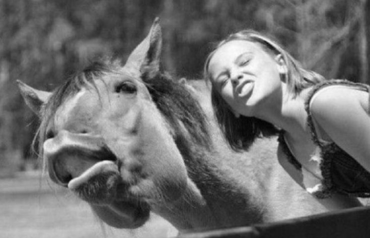 Як вміють посміхатися коні без комплексі…