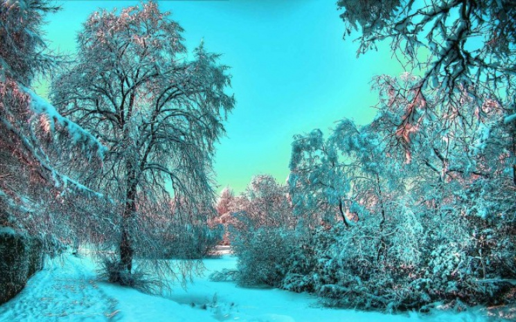 29 січня - нарешті зима на спад, День Пе…
