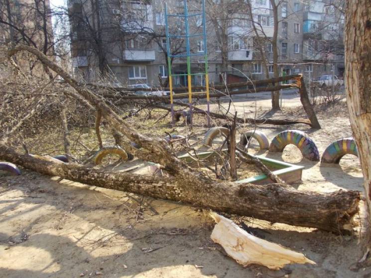 На Полтавщині спиляне дерево вбило чолов…