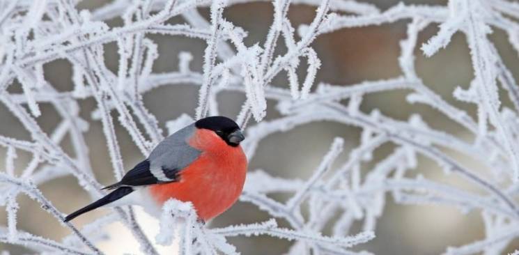 Вінницю трохи приморозить…