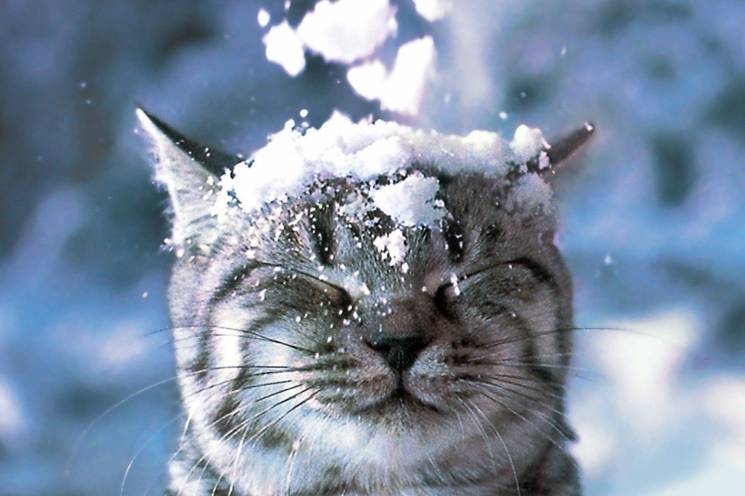 Вінничанам обіцяють потепління і сніг…