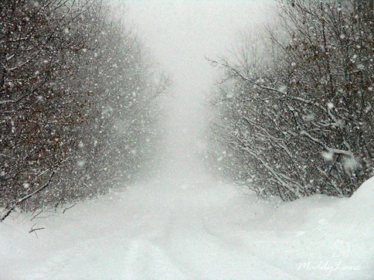 На Киев надвигается снежный циклон: Мете…