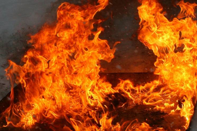 На Харківщині у вогні загинули двоє доро…