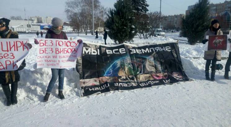 В Харькове зоозащитники пикетировали цир…