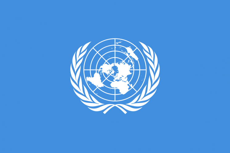 ООН вводит институт послов…