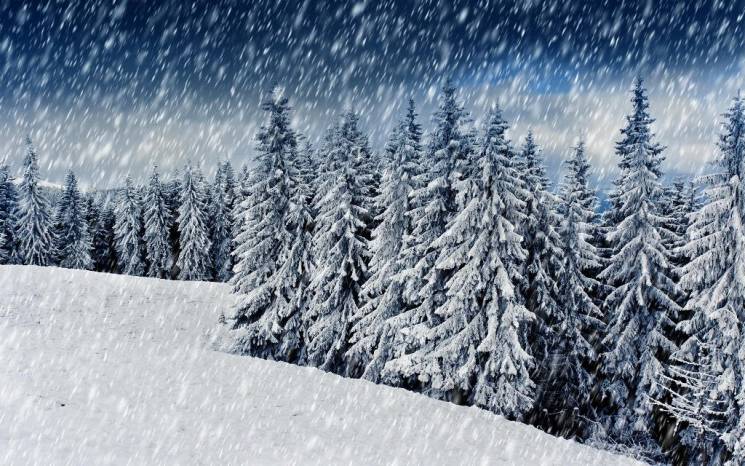Закарпатье: Прогноз погоды на 16 января…