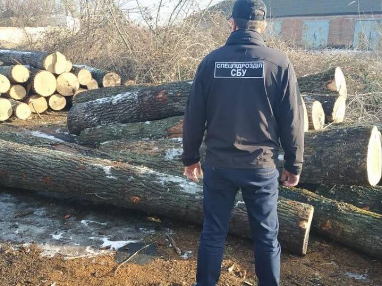 На Одещині посадовці лісгоспу розкрадали…