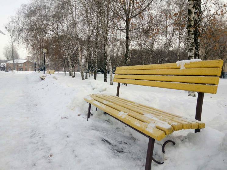 "Сірий" день без снігу: Якої погоди чека…