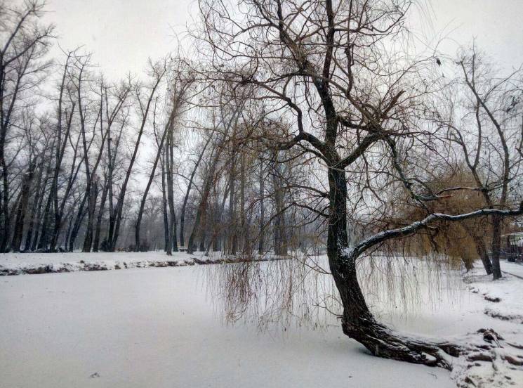 Безлюдні парки й замерзлий Дніпро: ТОП-5…